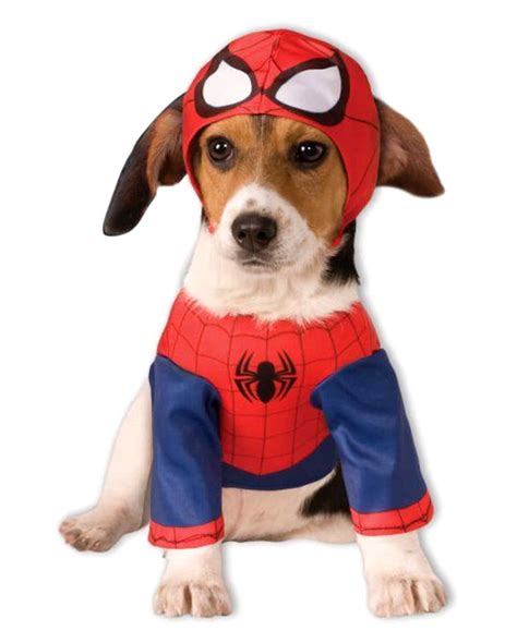 spider man dog costume|dog dressed as spider-man.